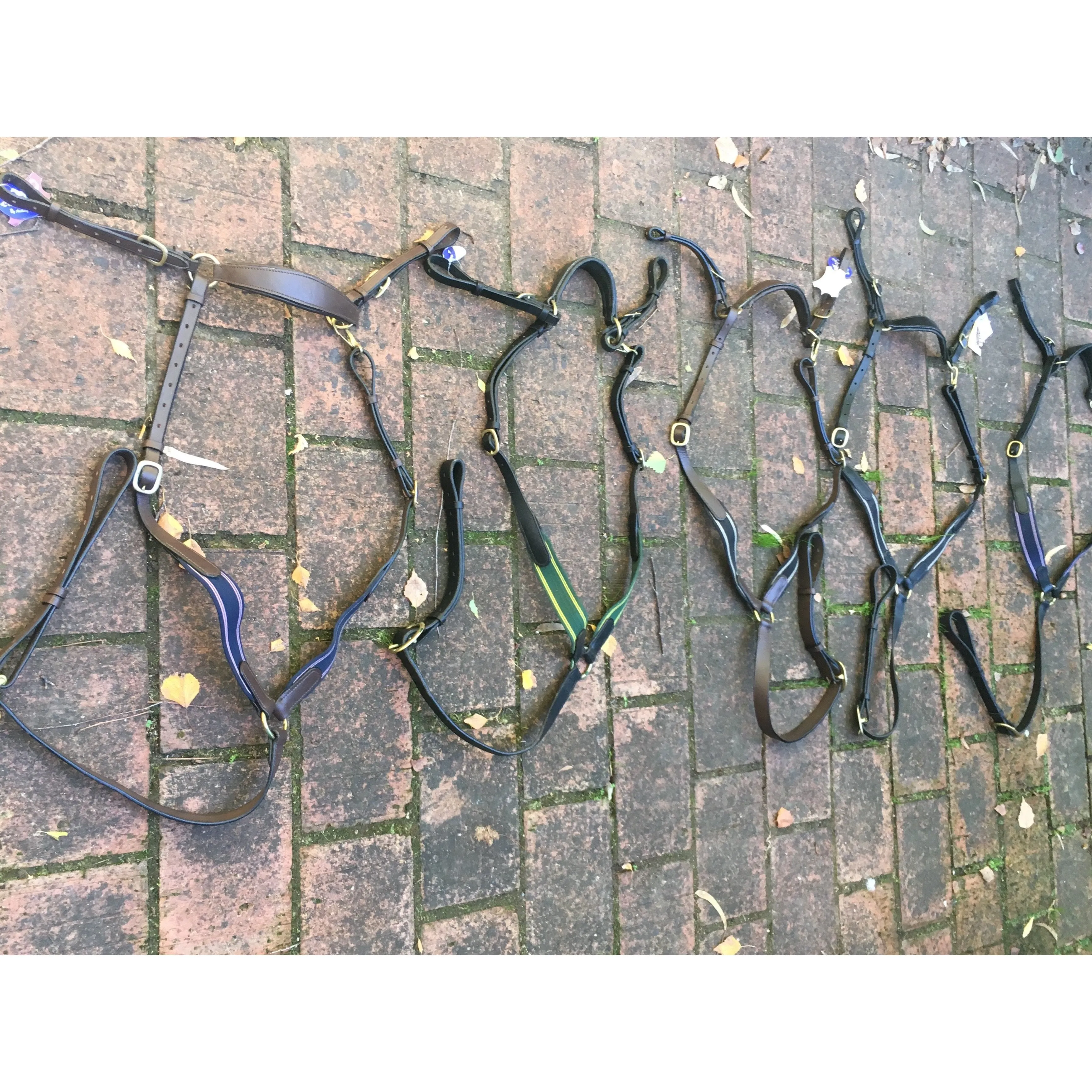 Anthony Thomas Signature Range Stockmans Breastplate
